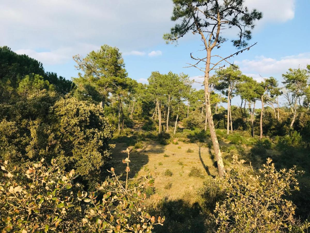 T2 Du Centre, Charme Et Exotisme Lejlighed Saint-Jean-de-Monts Eksteriør billede